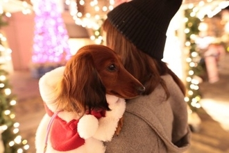 犬とクリスマスを楽しむ3つの方法！　トラブルなく安全に過ごすために飼い主が意識すべきこと