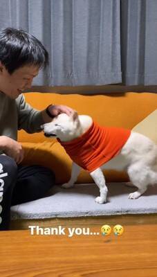 犬に『お父さんと結婚するのイヤ？』と聞いてみた結果…清々しい"全力拒否"に315万再生と爆笑の声「正直すぎて好きｗ」「漫才みたい」