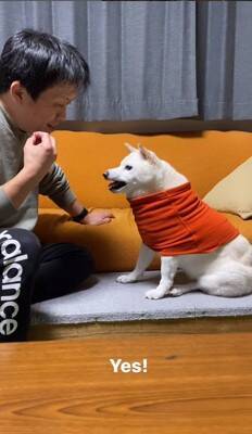 犬に『お父さんと結婚するのイヤ？』と聞いてみた結果…清々しい"全力拒否"に315万再生と爆笑の声「正直すぎて好きｗ」「漫才みたい」