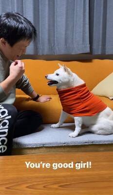 犬に『お父さんと結婚するのイヤ？』と聞いてみた結果…清々しい"全力拒否"に315万再生と爆笑の声「正直すぎて好きｗ」「漫才みたい」
