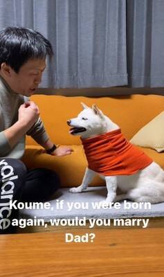 犬に『お父さんと結婚するのイヤ？』と聞いてみた結果…清々しい"全力拒否"に315万再生と爆笑の声「正直すぎて好きｗ」「漫才みたい」