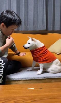 犬に『お父さんと結婚するのイヤ？』と聞いてみた結果…清々しい"全力拒否"に315万再生と爆笑の声「正直すぎて好きｗ」「漫才みたい」