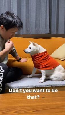 犬に『お父さんと結婚するのイヤ？』と聞いてみた結果…清々しい"全力拒否"に315万再生と爆笑の声「正直すぎて好きｗ」「漫才みたい」