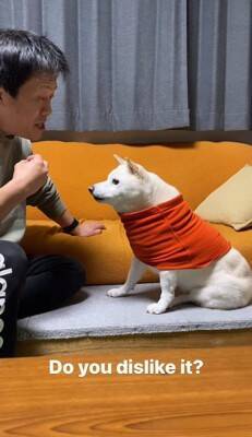 犬に『お父さんと結婚するのイヤ？』と聞いてみた結果…清々しい"全力拒否"に315万再生と爆笑の声「正直すぎて好きｗ」「漫才みたい」