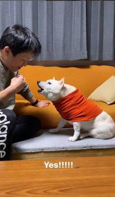 犬に『お父さんと結婚するのイヤ？』と聞いてみた結果…清々しい"全力拒否"に315万再生と爆笑の声「正直すぎて好きｗ」「漫才みたい」