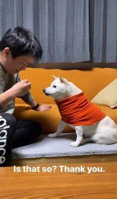 犬に『お父さんと結婚するのイヤ？』と聞いてみた結果…清々しい"全力拒否"に315万再生と爆笑の声「正直すぎて好きｗ」「漫才みたい」