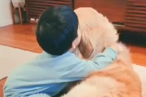 小さな男の子が大型犬と一緒に過ごした結果→3歳で『僕の弟』と言い出して…あまりにも尊い成長記録が46万再生「仲良し兄弟だ」「ほっこり」