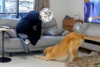 入院中、ふと家のカメラをのぞき見した結果→『夫と大型犬が遊んでる』と思ったら…『衝撃の瞬間』が39万再生「見事なV字ｗ」「ドン引きで草」