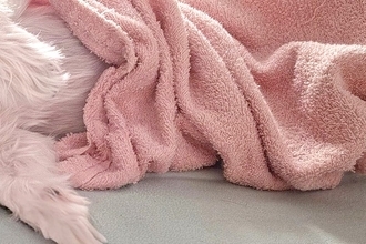 朝、エアコンの効きすぎで『少し寒いな』と思っていたら→隣で寝ていた犬が…子供のような『尊い光景』に2万いいね「賢くて感動」「人間みたい」