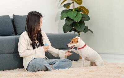 『犬の吠え方』でわかる心理5つ　要求吠えに対する飼い主の適切な対応まで解説