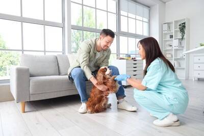犬の飼い主がしがちな『勘違い』5つ　知っておきたい愛犬の本音や正しい対処法まで