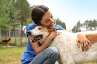 犬と『心の距離』を縮める方法とは？飼い主がすべき行動や愛犬と信頼関係を築くための接し方まで