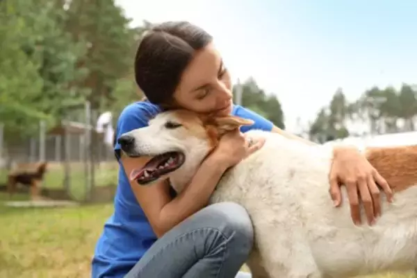 犬と『心の距離』を縮める方法とは？飼い主がすべき行動や愛犬と信頼関係を築くための接し方まで
