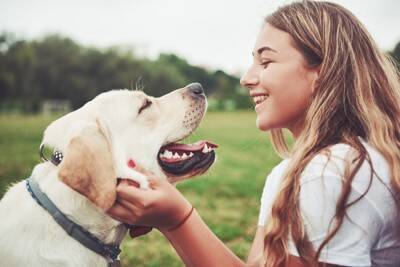犬と『心の距離』を縮める方法とは？飼い主がすべき行動や愛犬と信頼関係を築くための接し方まで
