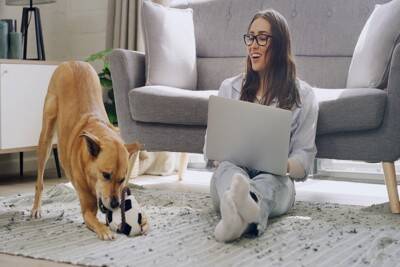 犬と『心の距離』を縮める方法とは？飼い主がすべき行動や愛犬と信頼関係を築くための接し方まで