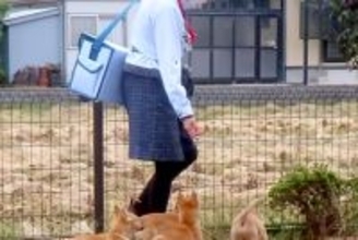 家に『ヤクルトレディ』が訪問してきた結果→畑で遊んでいた子犬たちが…仕事にならない『まさかの光景』が36万再生「天国かよ」「羨ましすぎ」