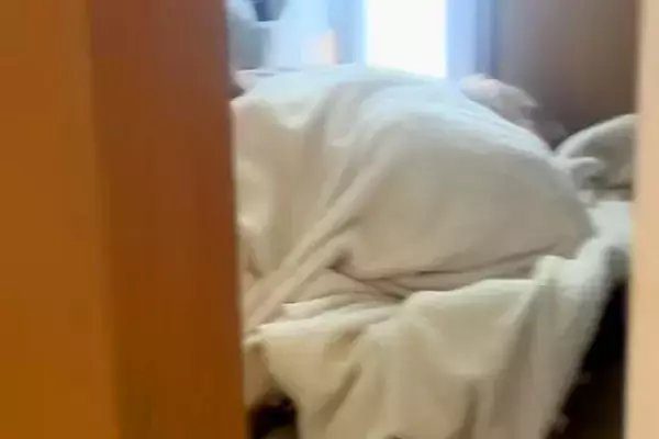 朝、大型犬と男の子があまりにも静かなので探してみた結果→想定外だった『まさかの状況』が78万再生「怒れないｗｗ」「幸せすぎる…」