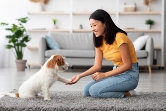 犬の『しつけ』を失敗してしまう理由4つ　逆効果となる飼い主の行動や改善策まで