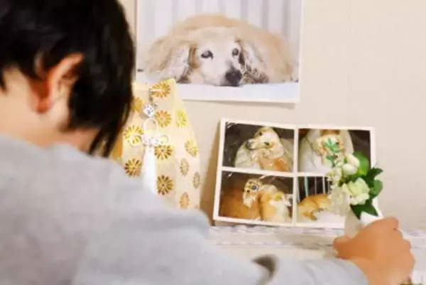 愛犬を亡くしてしまったら…ペットロスを乗り越える方法5つ　重症化させないために知っておくべきことまで