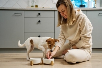 犬がご飯のお皿を『ひっくり返してしまう』4つの心理　見直すべき食事環境まで解説