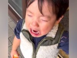 2歳の男の子が『もう愛犬と会えない』と勘違いして…あまりにも愛おしい光景と『再会の瞬間』が9万再生「尊すぎる」「大事な存在なんだ」と反響