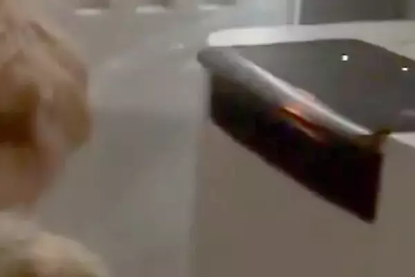 空気清浄機が爆音で動き始めたので、何事かと思ったら…まさかの『可愛すぎる原因』が85万表示「フル稼働させてて草」「可愛いｗｗ」と爆笑の声