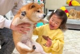『たかいたかい』をしてもらう1歳の女の子→犬が『羨ましいな』と見つめて…尊すぎるやり取りが28万再生「可愛いが渋滞」「順番待ち偉い」