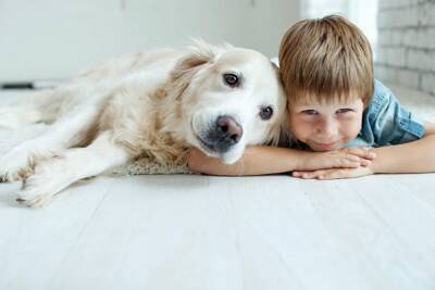 犬の『知能』を調べる方法3選　ワンコのIQは人間でいうと何歳ぐらいなの？賢く育てるコツまで