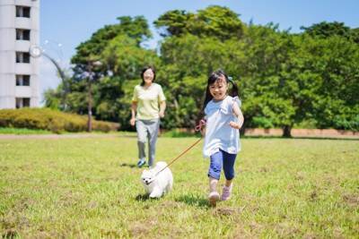 犬の『知能』を調べる方法3選　ワンコのIQは人間でいうと何歳ぐらいなの？賢く育てるコツまで