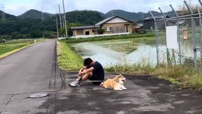 犬を説教した翌日、お散歩にいった結果…反省したかと思いきや『まさかの光景』が42万再生「確信犯で草」「ぶれないマイペースｗ」と爆笑の声