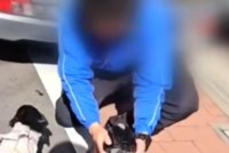 大好きな『佐川急便のお兄さん』を見つけた犬たち→一目散に駆け寄って…あまりにも尊い『相思相愛な光景』に反響「癒された」「疲れ吹っ飛ぶ」