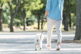 犬の『歩き方』でわかる心理4つ　不安な気持ちを読み取る方法や注意すべき歩行の仕方まで