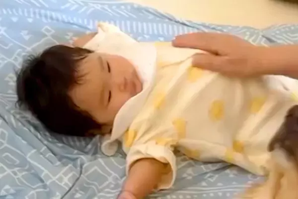 おばあちゃんが家にきて、孫を撫でた結果→大型犬が嫉妬して…『私も見て！』甘えん坊すぎる光景に反響「可愛いヤキモチ」「一生撫でないとｗ」