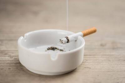 犬が部屋にひとりでいるとき『置いてはいけないもの』７選　考えられる危険な事故とは？