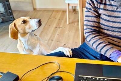 犬が飼い主の『膝の上に乗る』心理4選　甘えているだけではない？愛犬の本音まで解説