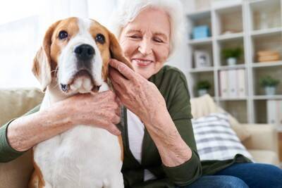 犬の寿命を縮める『絶対NG行為』5選　今すぐに改善すべき飼い主の習慣とは？