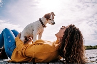犬が飼い主を『踏みつける』心理5選　上に乗ってくる理由や止めさせる方法まで解説