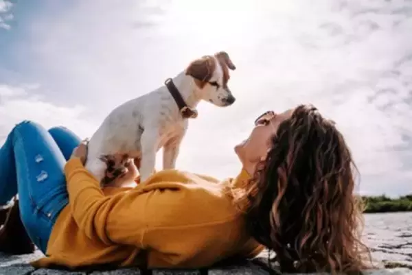 犬が飼い主を『踏みつける』心理5選　上に乗ってくる理由や止めさせる方法まで解説