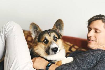 犬が飼い主を『踏みつける』心理5選　上に乗ってくる理由や止めさせる方法まで解説