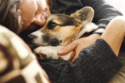 犬が『飼い主を守ろうとしている』ときにみせる行動5選　見逃したくないサインや注意点まで
