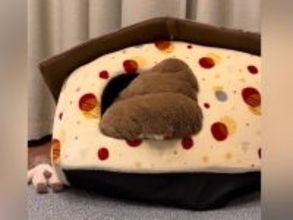 ハウスに立てこもっている犬に『おやつだよ』と伝えたら、次の瞬間…『想像以上の反応』が14万再生「お茶目で可愛すぎるｗ」「ヤドカリ犬」