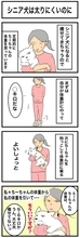ちーちゃんですけどもっ【第363話】「シニア犬は太りにくいのに」