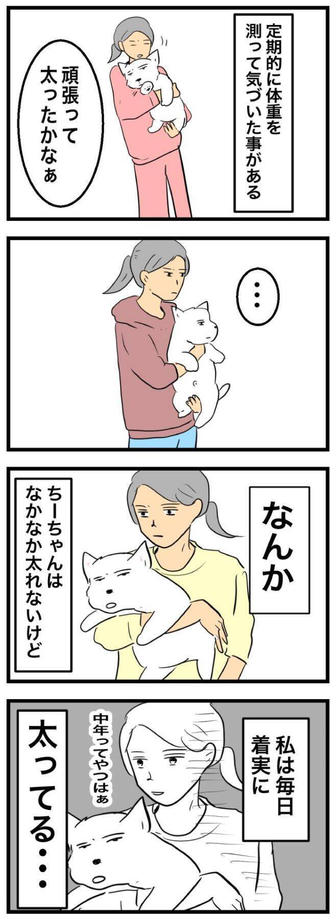 ちーちゃんですけどもっ【第363話】「シニア犬は太りにくいのに」