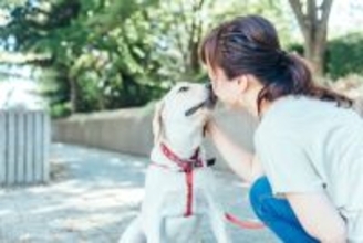 犬が飼い主に『褒めてほしい』ときにみせるサイン５選　愛犬が喜ぶ褒め方や接し方まで