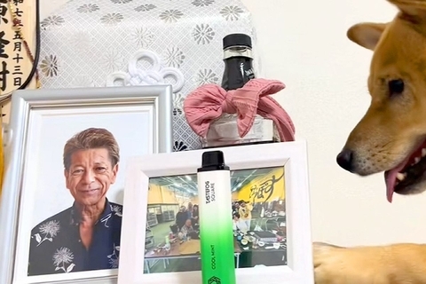 おじいちゃんが亡くなり悲しんでいたら、犬が遺影の横で…思わずもらい泣きしてしまう光景が17万再生「愛されてたんだね」「見ていて涙が出た」