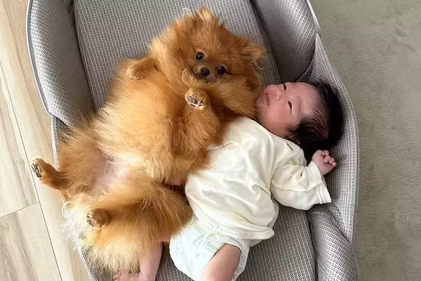 赤ちゃんが『3匹の犬に囲まれて育った』結果→1年後の『成長した現在』に思わず感動すると1万いいね「絆が深まってて泣ける」「可愛すぎる」