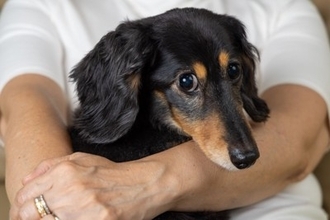 『犬中心の生活』を送るリスクとは？飼い主や愛犬にもたらす悪影響まで解説
