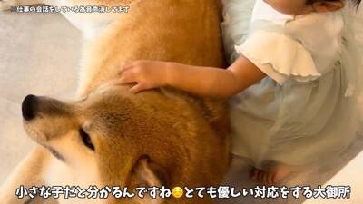 友達の赤ちゃんが遊びに来たら、家にいた犬が…心から優しい『まさかの対応』に19万再生の反響「尊すぎて涙出る」「平和な世界すぎる」と感動