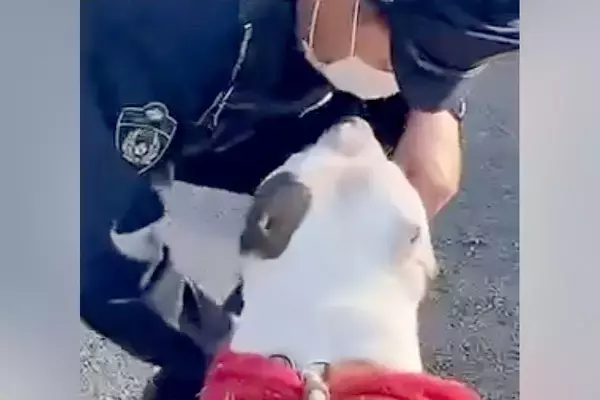 散歩中『警察官』に出会った犬→パトカーから降りてきて…素敵すぎる『微笑ましい光景』に反響「優しい時間が流れてる」「ほんと無邪気で可愛い」