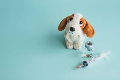 犬が誤飲すると『死ぬかもしれないモノ』4選　今すぐに病院へ行くべき危険な症状まで